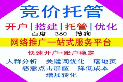 探索sem代运营公司成功案例的共同点
